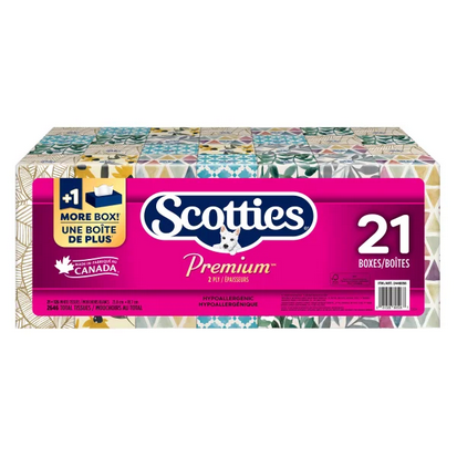 scotties-21.png